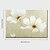 halpa Kukka-/kasvitaulut-öljymaalauksia yksi paneeli nykyaikaisen flower käsin maalatut kankaat valmis ripustaa