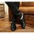 olcso Tánccipők gyakorláshoz-Férfi Modern cipő Báli Otthoni Félcipő Magassarkúk Szőrme Vaskosabb sarok Fűzős Fekete