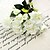 Χαμηλού Κόστους Ψεύτικα Λουλούδια-Λουλούδια Γάμου Ελεύθερης Μορφής Τριαντάφυλλα Μπουκέτα Γάμος / Πάρτι/ Βράδυ Κίτρινο / Λευκό / Μπορντώ Πολυεστέρας / Αφρός6,69 &quot;