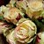 levne Umělé květiny-Hedvábí Svatební kytice Kytice Květina na stůl Kytice