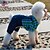 halpa Koiran vaatteet-Kissa Koira T-paita Housut Koiran vaatteet Vihreä Sininen Ruusu Asu Puuvilla Ruutu / skotti Farkut Cosplay Häät XS S M L XL