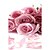 halpa Painatukset-tulosteita juliste seinälle maalaus vaaleanpunainen ruusu kuvia tulostetaan kankaalle 3kpl / setti (ilman kehystä)