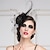 cheap Party Hats-Women&#039;s Feather Headpiece-Wedding Special Occasion Headbands Fascinators 1 Piece