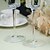 billige Champagneglass-Blyfritt Glass Riste Fløyter 1 Personalisert Gaveeske
