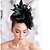 cheap Hair Accessories-Feather Hair Accessories Feather Wigs Accessories Women&#039;s pcs 6-10cm cm