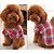 billiga Hundkläder-Hund Tröjor 셔츠 Pläd / Rutig Cosplay Bröllop Hundkläder Röd Blå Kostym Cotton S M L XL