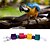 cheap Bird Accessories-FUN OF PETS®Colorful Rope Wooden Square Chewing Lot with Beads for Birds