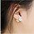 abordables Boucle d&#039;Oreille-Boucle Boucles d&#039;oreille goujon Bijoux 2pcs Alliage Femme Argent