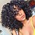 cheap Human Hair Wigs-Human Hair U Part Lace Front Wig style Brazilian Hair Kinky Curly Wig 130% Density 10-30 inch Women&#039;s Short Medium Length Long Human Hair Lace Wig