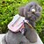 cheap Dog Travel Essentials-Dog Commuter Backpack Dog Clothes Blue Pink Costume Fabric Angel &amp; Devil S L