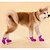 billiga Hundkläder-Hund Skor och stövlar Vattentät För husdjur Blandat Material Svart