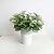 cheap Artificial Flower-11.8&quot; Six Branches Green&amp;White Hypoestes phyllostachya Artificial Plant for Decoration and Plant Wall