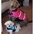tanie Ubrania dla psów-Psy Kamizelka Kamizelka ratunkowa Kość Wodoodporny Sport Ubrania dla psów Czerwony Niebieski Różowy Kostium Mieszane materiały