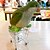 رخيصةأون اكسسوارات الطيور-متعة pets®creative مصغرة سوبر ماركت عربة التسوق الطيور لعبة الطيور (لون عشوائي)