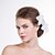 cheap Headpieces-Women Organza Flowers With Imitation Pearl Wedding/Party Headpiece(Set 0f 2)