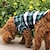 voordelige Hondenkleding-Kat Hond T-shirt Geruit Cosplay Bruiloft Hondenkleding Puppykleding Hondenoutfits Rood Blauw Groen Kostuum voor mannetjes- en vrouwtjeshonden Katoen XS S M L