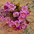 abordables Fleurs artificielles-Fleurs artificielles 1 Une succursale Style moderne Pivoines Fleur de Table