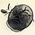 cheap Headpieces-Women Feather/Net Bride Hats/Flowers With Wedding/Party Headpiece Black/Beige