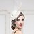 Χαμηλού Κόστους Καπέλα για Πάρτι-Γυναικείο Φτερό Headpiece-Γάμος Ειδική Περίσταση Κεφαλόδεσμοι Διακοσμητικά Κεφαλής 1 Τεμάχιο