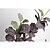 Недорогие Искусственные цветы-27,56 &quot;три ветви искусственного листьев шелковицы 1 пучок