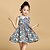 cheap Girl&#039;s Clothing-Girls&#039; Floral Sleeveless Cotton Dress