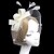 cheap Fascinators-Feather / Net Fascinators / Flowers / Birdcage Veils with 1 Wedding / Special Occasion Headpiece