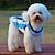 Χαμηλού Κόστους Ρούχα για σκύλους-Γάτα Σκύλος Φανέλα Jerseu Veste Ριγέ Γράμμα &amp; Αριθμός Στολές Ηρώων Γάμος Ρούχα για σκύλους Ρούχα κουταβιών Στολές για σκύλους Μπλε Στολές για κορίτσι και αγόρι σκυλί Τερυλίνη XS Τ M L XL