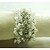 economico Tovaglioli e accessori-perla anello decorazione tovagliolo, acrilico, 1.77inch, set di 12