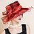 cheap Headpieces-Women&#039;s Organza Headpiece - Wedding/Special Occasion Hats 1 Piece