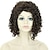 Χαμηλού Κόστους Συνθετικές Περούκες-Συνθετικές Περούκες Kinky Curly Kinky Σγουρό Περούκα Συνθετικά μαλλιά Γυναικεία Περούκα αφροαμερικανικό στυλ