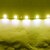 olcso LED sávos fények-0,3m LED-es szalagfények 12LED LED Fehér Piros Kék Vízálló Tiktok LED szalagfények 12 V / IP44
