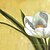 billige Kanvas-vægure-e-home® hvide blomster ur i lærred 2 stk