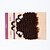 preiswerte Haarverlängerungen in natürlichen Farben-Brasilianisches Haar Kinky Curly Curly Webart 8A Echthaar Vorgefärbten Haargewebe Menschliches Haar Webarten Haarverlängerungen / Kinky-Curly