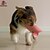 olcso Kutyakiképzés és viselkedésformálás-Kutya kiképzés Edzés Könnyen használható Kutya Vízálló Hordozható Szilikon Kiképző segédeszközök Háziállatok számára
