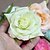 Недорогие Свадебный головной убор-Ткань Цветы с 1 Свадьба / Особые случаи / Повседневные Заставка