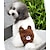 ieftine Îmbrăcăminte Câini-Pisici Câine Costume Ținute Pantaloni Desene Animate Cosplay Nuntă Halloween Îmbrăcăminte Câini Haine pentru catelus Ținute pentru câini Galben Roz Maro Costume pentru fată și câine băiat Bumbac S M L