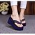 cheap Women&#039;s Slippers &amp; Flip-Flops-Women&#039;s Shoes PVC(Polyvinyl chloride) Summer Flat Heel Polka Dot Fuchsia / Blue / Taupe