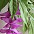 cheap Artificial Flower-Artificial Flowers 1 Branch Wedding Flowers Violet Tabletop Flower