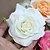 Недорогие Свадебный головной убор-Ткань Цветы с 1 Свадьба / Особые случаи / Повседневные Заставка