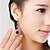 cheap Earrings-Earring Drop Earrings Jewelry Women Silver Plated 2pcs Black / Red