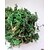Недорогие Искусственные растения-Искусственные Цветы 1 Филиал Простой стиль Pастений Букеты на стол