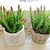 cheap Artificial Plants-Artificial Flowers 1 Branch Simple Style Plants Tabletop Flower