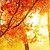 cheap Prints-E-HOME® Stretched Canvas Art The Sunset Red Maple Forest Decorative Painting Set of 5