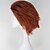 cheap Carnival Wigs-Hunter X Hunter Cosplay Cosplay Wigs Men&#039;s 12 inch Heat Resistant Fiber Anime