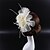 cheap Headpieces-Feather / Polyester Fascinators with 1 Wedding / Special Occasion / Casual Headpiece