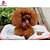 Недорогие Подстилки и одеяла для собак-Собака Матрас Кровати Одеяла Компактность Косплей Хлопок для больших, средних и маленьких собак и кошек