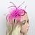 cheap Fascinators-Feather / Net Fascinators / Headwear with Floral 1PC Wedding / Special Occasion / Ladies Day Headpiece