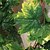 halpa Tekokasvit-Keinotekoinen Flowers 1 haara European Style Kasvit Seinäkukka