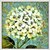 voordelige Schilderijen van bloemen/planten-Handgeschilderde Bloemenmotief/BotanischModern / Europese Stijl Eén paneel Canvas Hang-geschilderd olieverfschilderij For Huisdecoratie