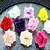 cheap Artificial Flower-Silk Wedding Flowers Petal Wall Flower Petal